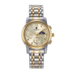 Gold Dial | Gold Bezel | Silver and Gold Band